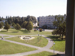 sosnowiec3.jpg