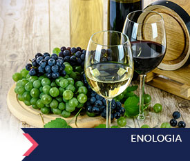 box enologia